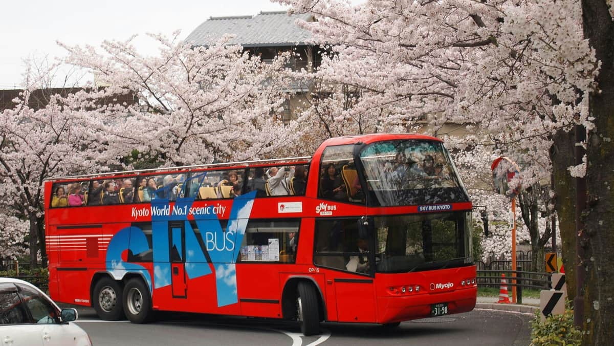 Sky Hop Bus Kyoto Un bus rouge à impériale portant l'inscription "Kyoto World No.1 scenic city" passe devant des cerisiers en fleurs. Les passagers sont assis sur les deux niveaux.