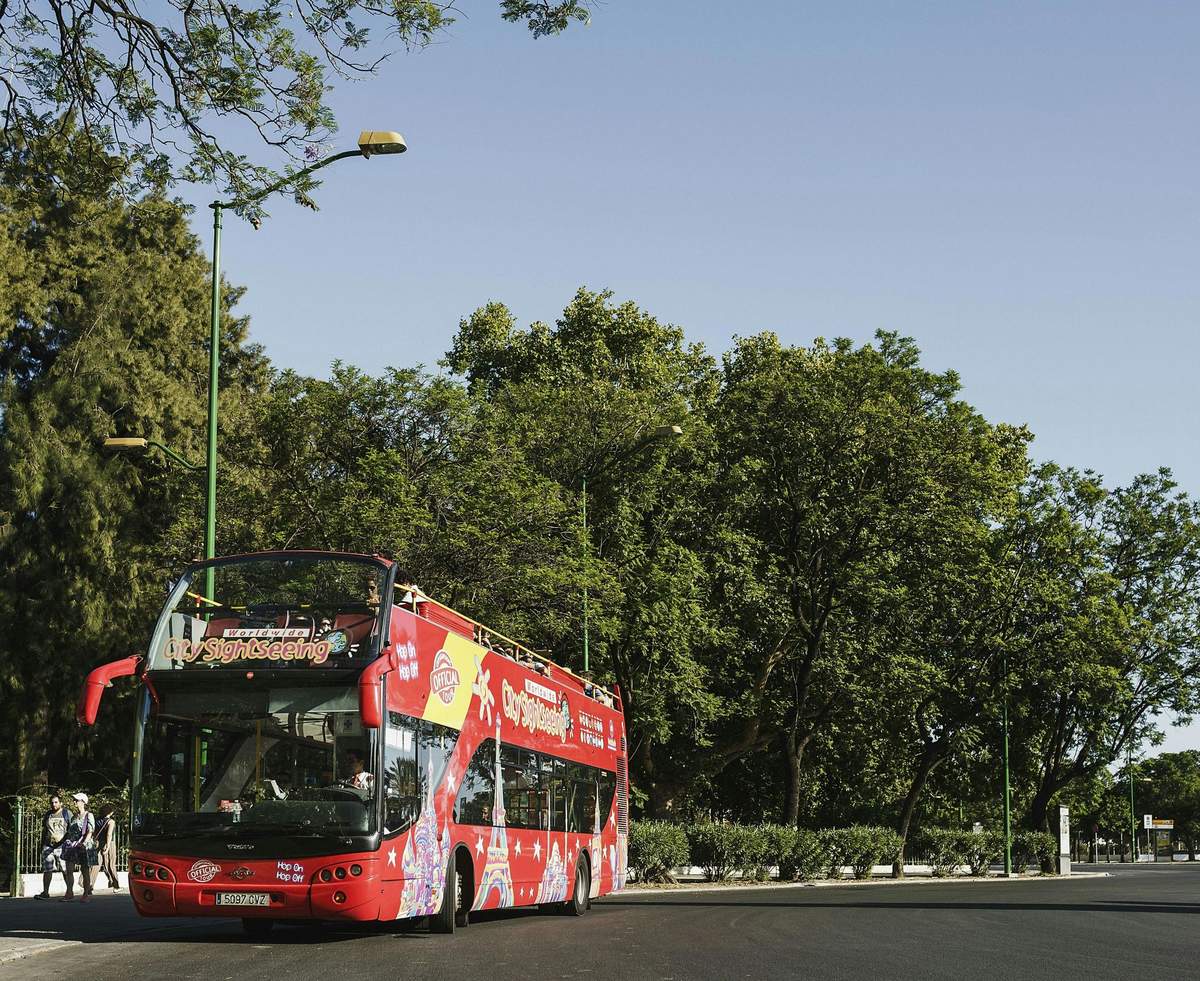 Un bus touristique rouge à impériale et à toit ouvert est garé dans une rue bordée d'arbres, sous un ciel bleu clair.