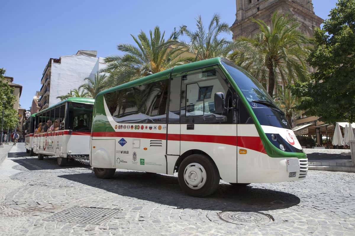 Train Hop-on Hop-off de Grenade Un petit bus blanc avec des bandes vertes et rouges, garé dans une rue pavée bordée de palmiers sous un ciel bleu clair.