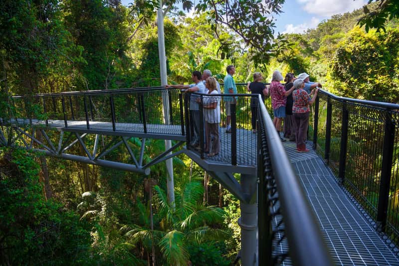 Tamborine Mountain : Bus Hop-on Hop-off de Brisbane