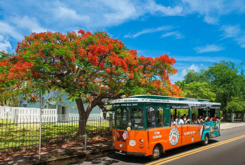 Key West : Trolley de la vieille ville (Hop-on Hop-off)
