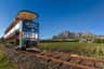 Tram